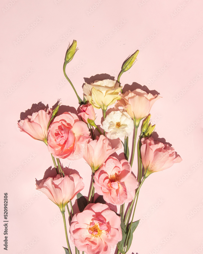 Bright pink flowers on pastel background. Romantic bloom concept. Minimalistic nature flat lay.