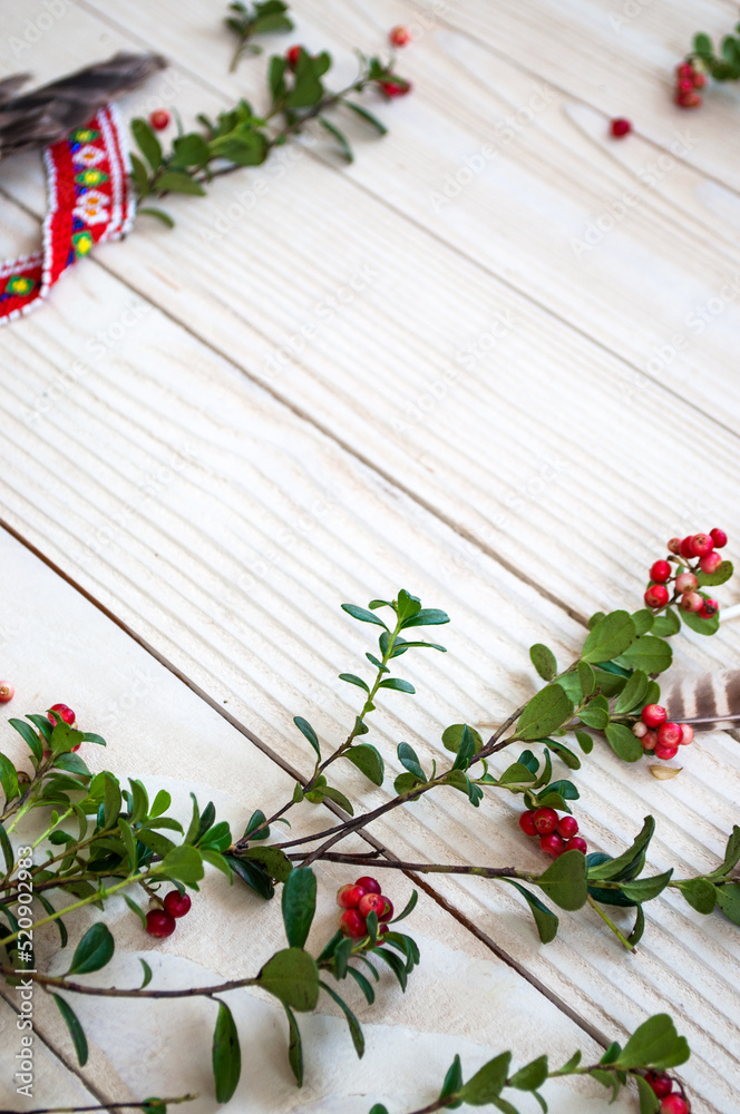 Branches of lingonberries and feathers on a white wooden background Branches of lingonberries and feathers on a white wooden background