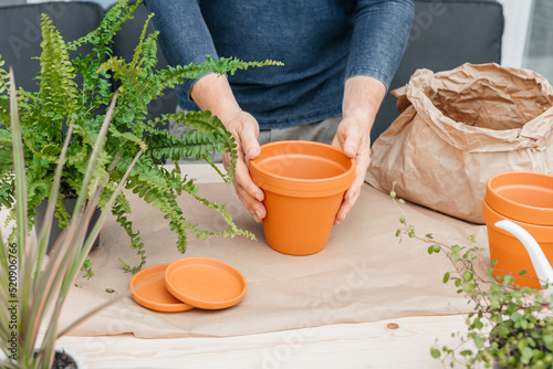 A male gardener transplants home plants into ceramic pots. The concept of home gardening and interior decoration with home flowers