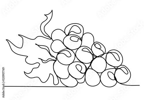 Bunch of Grapes Continuous Line Drawing isolated minimalistic trendy style Vector Illustration Black on White