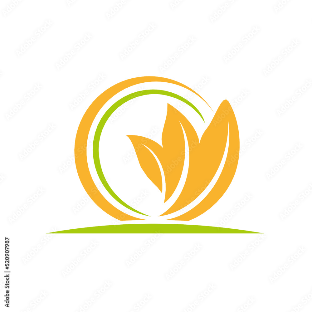 Obraz premium Gold Tobacco leaf vector isolated