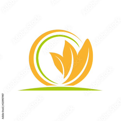 Gold Tobacco leaf vector isolated