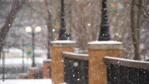 snow slowly falls on a quiet lonely tree-lined walkway in a park with lamps