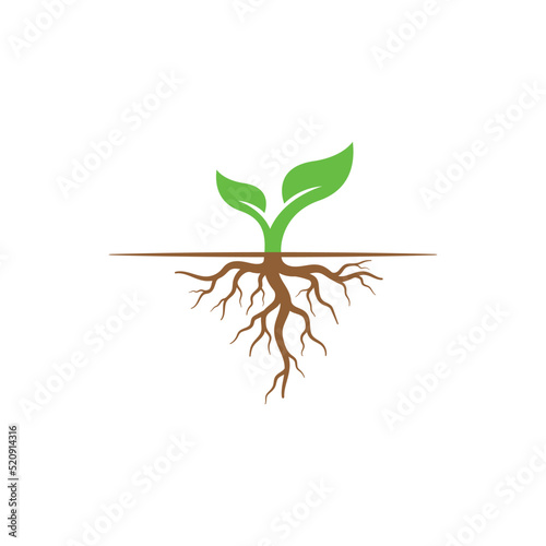 plant with root logo vector icon illustration
