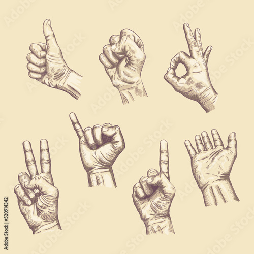 Hand Poses Clenching Thumb Up OK Pinkie Lend Pointing Peace