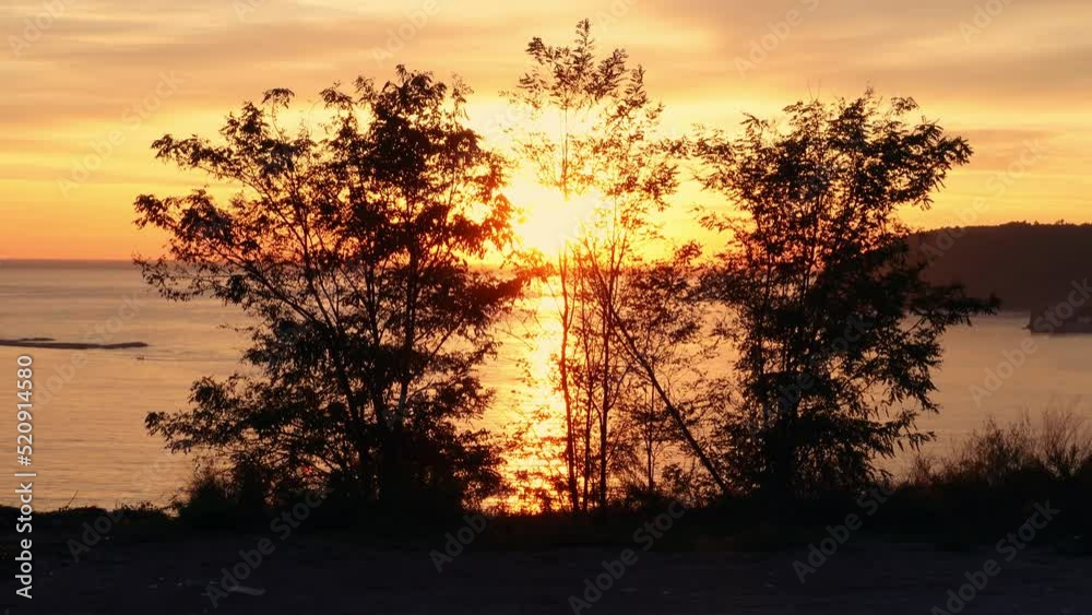 Golden sun shines through clouds and branches of bushes. Amazing fiery sunset on seashore, panoramic view of bay from mountain top during the hike. Travel and active lifestyle concept Golden sun shines through clouds and branches of bushes. Amazing fiery sunset on seashore, panoramic view of bay from mountain top during the hike. Travel and active lifestyle concept