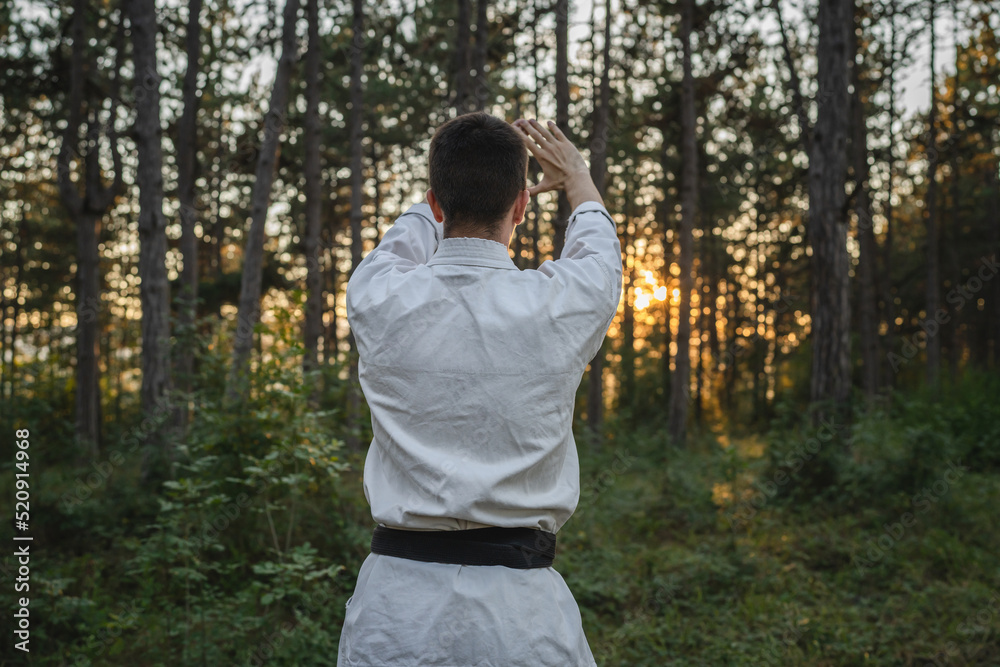 one caucasian man karateka standing forest in day back view training