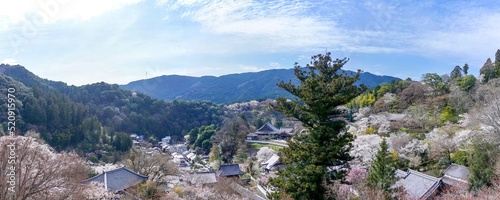 舞台から見下ろす満開の桜に囲まれたお寺の境内のパノラマ情景＠奈良