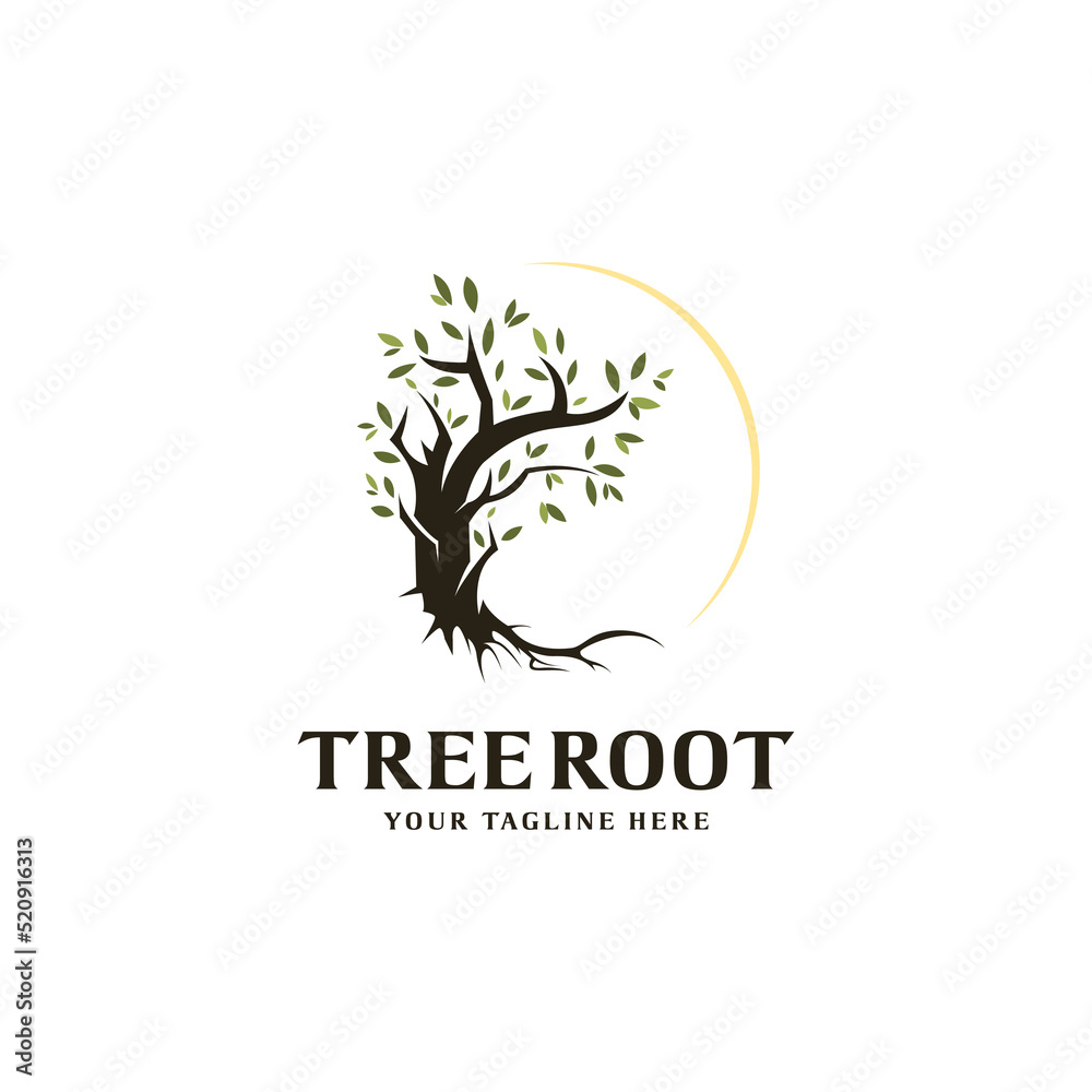 Tree and roots logo design isolated, mangrove tree vector illustration