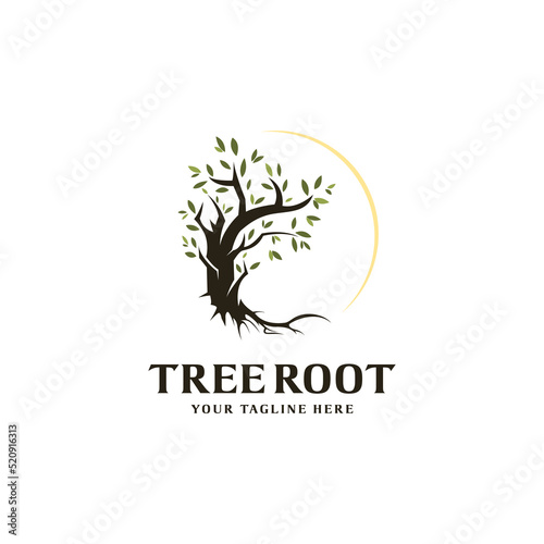 Tree and roots logo design isolated  mangrove tree vector illustration