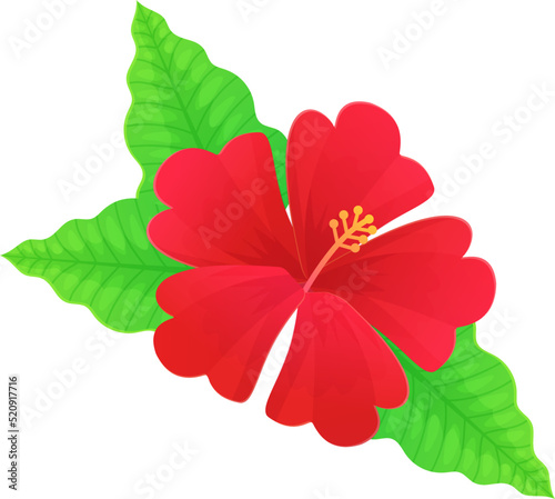 Vibrant red hibiscus flower. Hawaii tropical bloom.