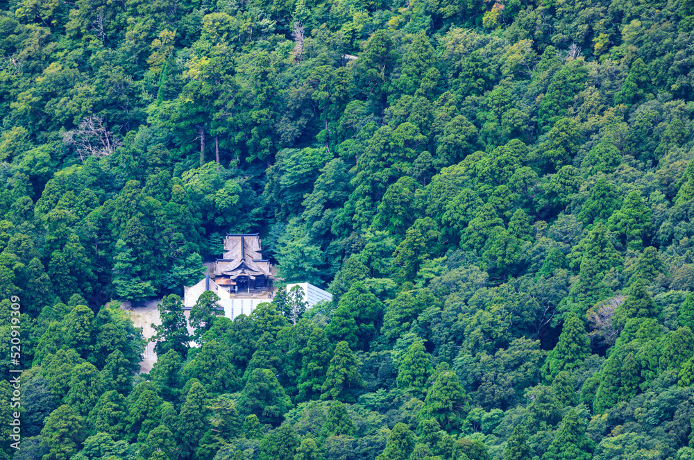 Overhead view of Daisen Temple in clearing surrounded by green forest