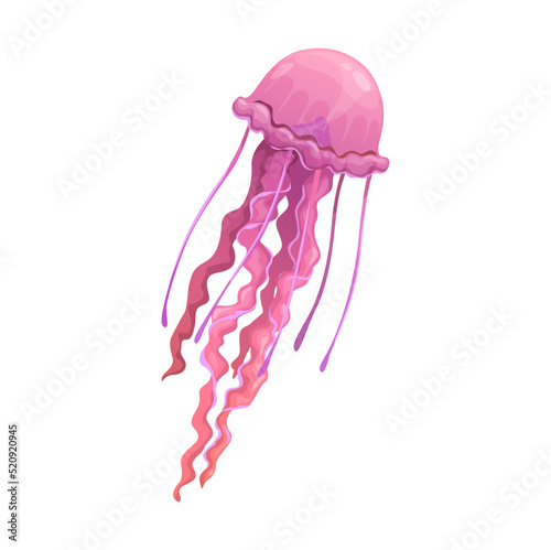 Cartoon jellyfish underwater animal, isolated vector medusa. Jelly fish with pink body and long tentacles. Tropical sea and ocean fauna creature, sealife