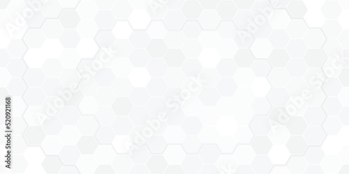 white abstract background with futuristic and hexagon concept use for business cover and card