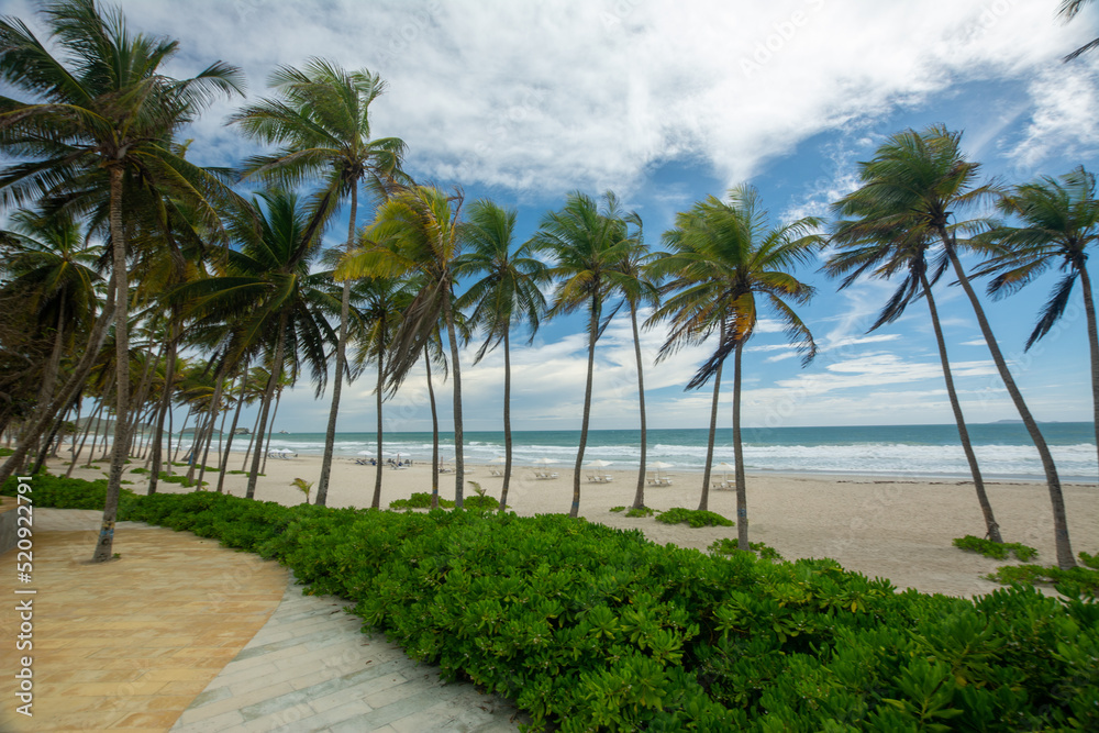 Lonely beach, with the blue sea and many coconut trees. tropical beach. radiant sun and heat

