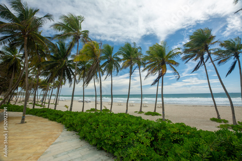 Fototapeta Naklejka Na Ścianę i Meble -  Lonely beach, with the blue sea and many coconut trees. tropical beach. radiant sun and heat

