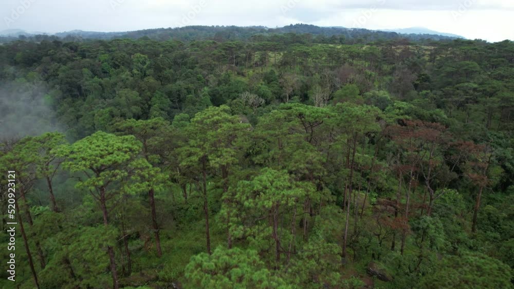 Aerial View. Bolaven Plateau in Laos has vast grasslands, pine forests, and beautiful nature. Aerial View. Bolaven Plateau in Laos has vast grasslands, pine forests, and beautiful nature.