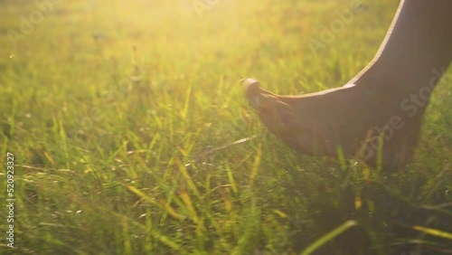 CLOSE UP, LOW ANGLE: Female person pacing the meadow with bare feet in golden light. Barefoot young woman walking on green grass. Carefree and relaxing moment in nature on a beautiful sunny morning. photo