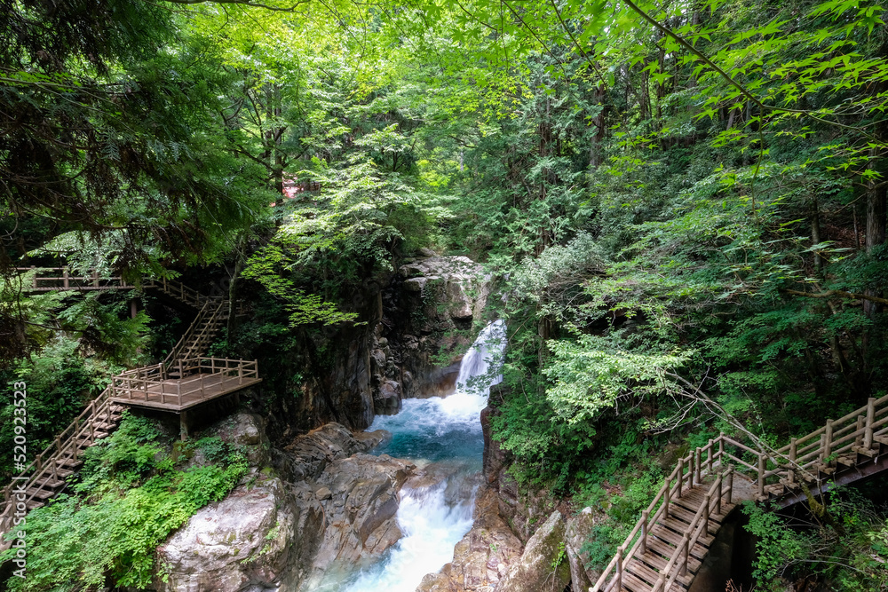 Naklejka premium 岐阜県中津川市の竜神の滝