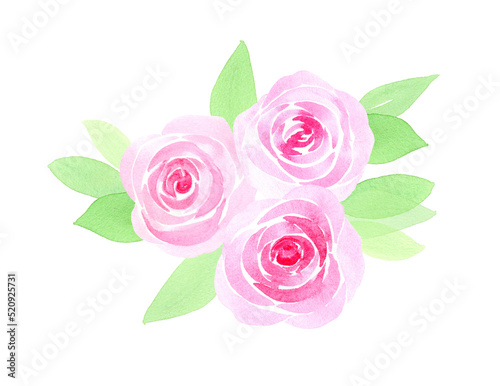 Watercolor pink roses bouquet on white background