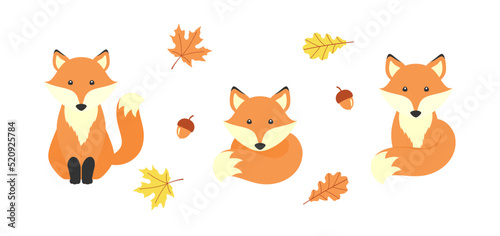 Fototapeta Naklejka Na Ścianę i Meble -  Cute cartoon foxes, acorns, maple and oak leaves, isolated on a white background. Vector set with adorable animal for cover, nursery decor, printing on kids t-shirts, clothes and bags. Design template