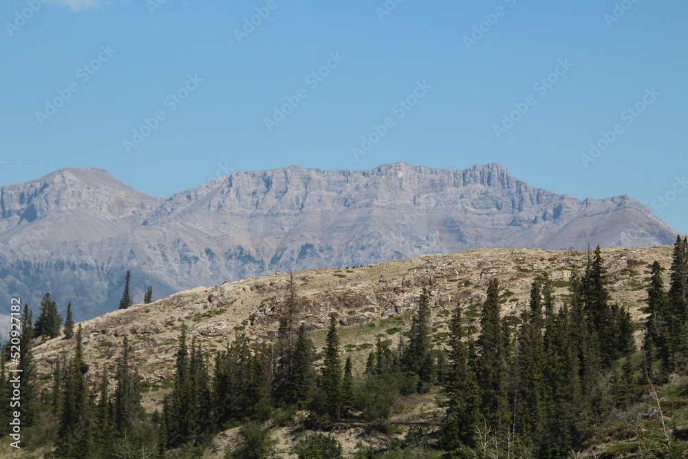 The Hazy Ridge, Jasper National Park, Alberta