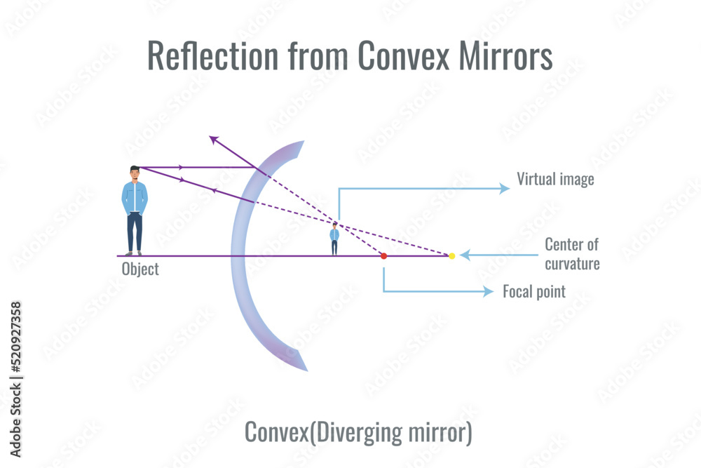 Reflection of light on convex mirror. Illustration showing ray diagrams