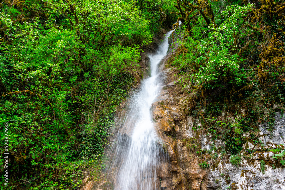 Waterfall in the mountain subtropical forest Waterfall in the mountain subtropical forest