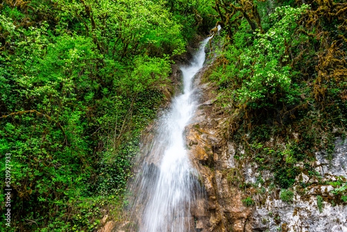 Fototapeta Naklejka Na Ścianę i Meble -  Waterfall in the mountain subtropical forest
