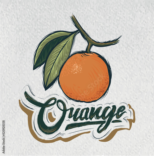 friut vector illustration