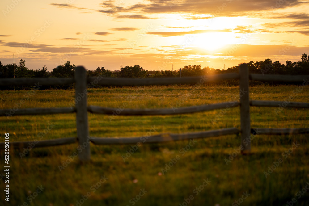 Sunset in a field with a fence