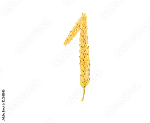 Figure 1 made from spikelets of grain