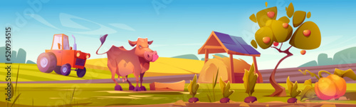 Countryside scene with cow, agriculture fields and meadows, farm tractor and hay in barn. Vector cartoon illustration of rural landscape with green grass, cattle animal, straw and crop in garden