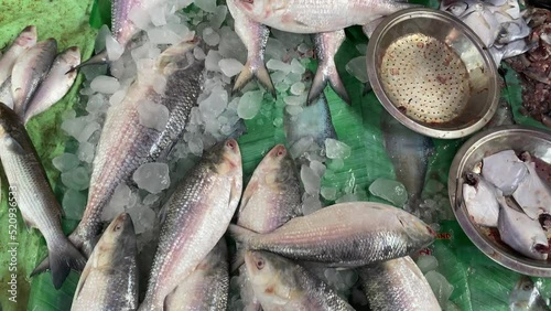 Extreme close up shot of Ilish or Hilsa fishes on ice for sale in fish market with silvery scale. photo