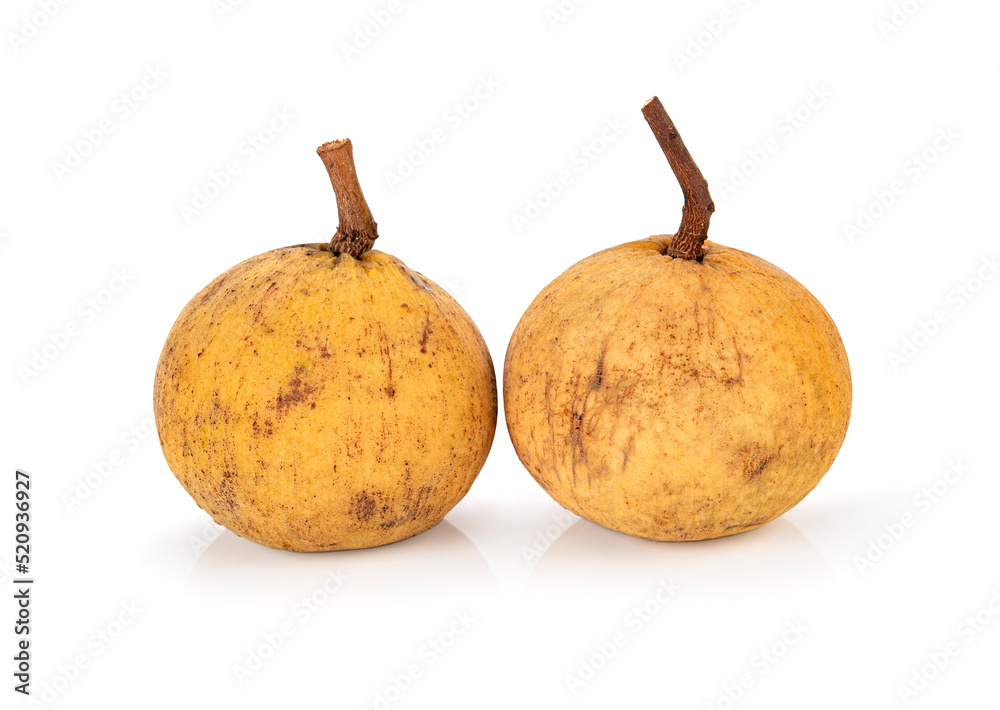 Santol fruit isolated on white background . Santol fruit isolated on white background .