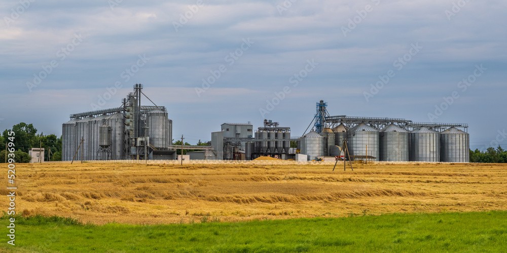 agro silos granary elevator with seeds cleaning line on agro-processing manufacturing plant for processing drying cleaning and storage of agricultural products in rye corn or wheat field agro silos granary elevator with seeds cleaning line on agro-processing manufacturing plant for processing drying cleaning and storage of agricultural products in rye corn or wheat field
