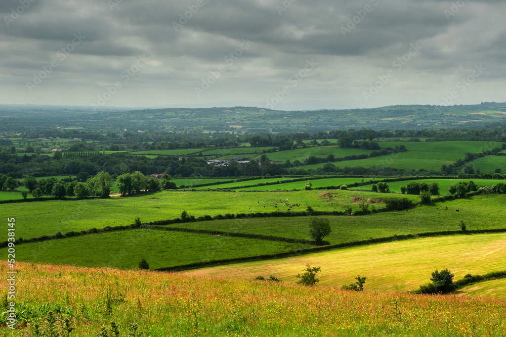 Agricultural land in county Tipperary, Ireland. Irish rural landscape. Green grass fields with cows on a hills. Cloudy sky. Agriculture and food supply industry. Country side with meadows.