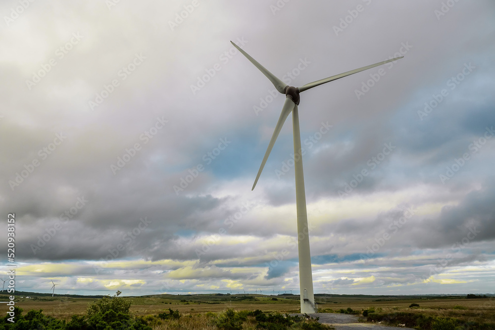 Wind turbine generator, blue cloudy sky in the background. Source of clean green energy. Wind turbine generator, blue cloudy sky in the background. Source of clean green energy.