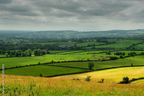 Agricultural land in county Tipperary, Ireland. Irish rural landscape. Green grass fields with cows on a hills. Cloudy sky. Agriculture and food supply industry. Country side with meadows. © mark_gusev