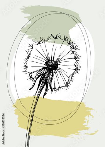 Fototapeta Naklejka Na Ścianę i Meble -  Dandelion Abstract Hand Painted Illustrations for Wall Decoration, Postcard, Social Media Banner, Brochure Cover Design Background. Modern Abstract Painting Artwork. Vector Pattern