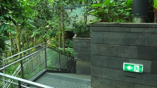 Changi airport greenery garden steps closeup view in Singapore photo