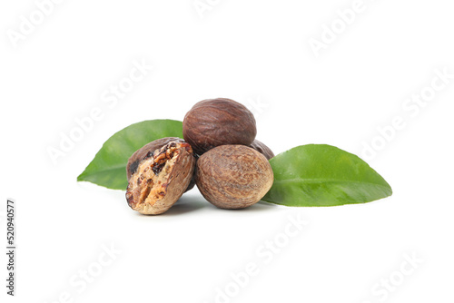 Shea nuts for making shea butter isolated on white background photo