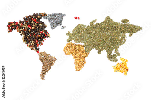 Map of world made from different kinds of spices isolated on white background