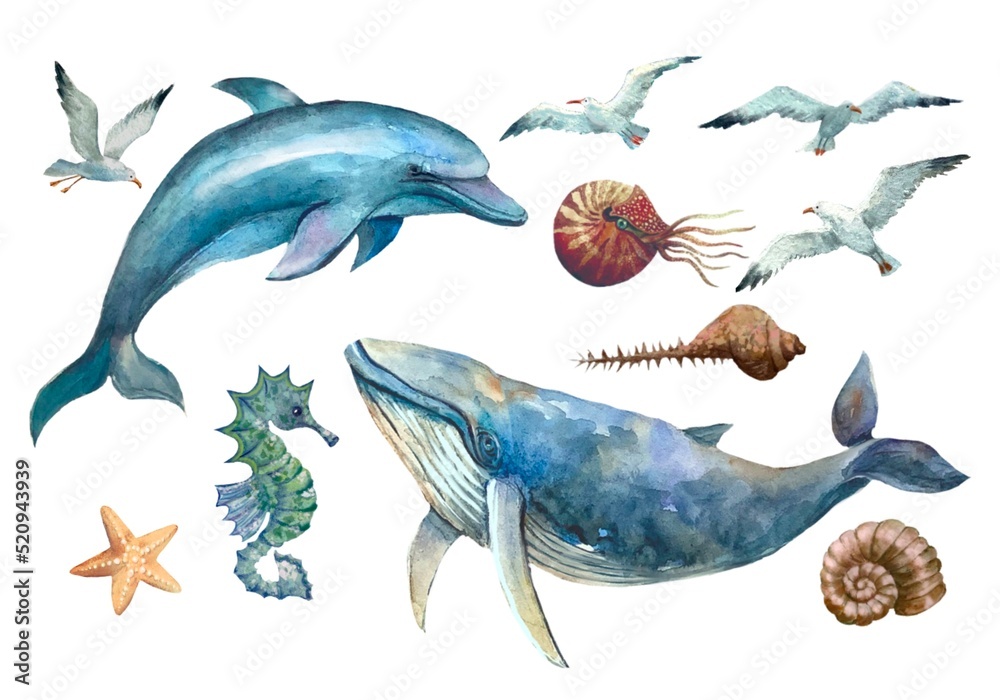 Fototapeta premium marine life, whale, dolphin ,seagulls 