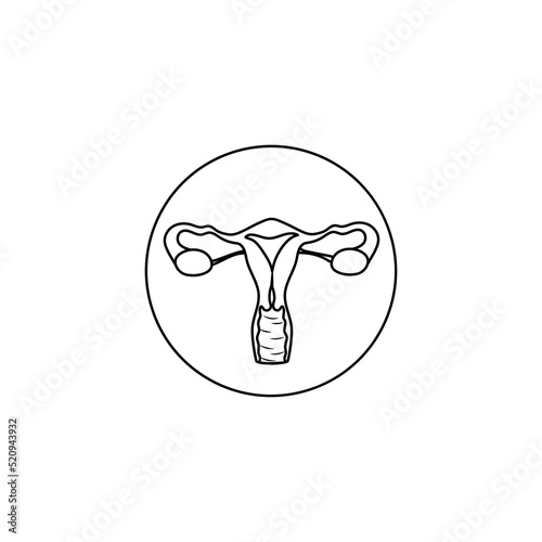 Female reproductive system. Woman organs. Vector illustration isolated
