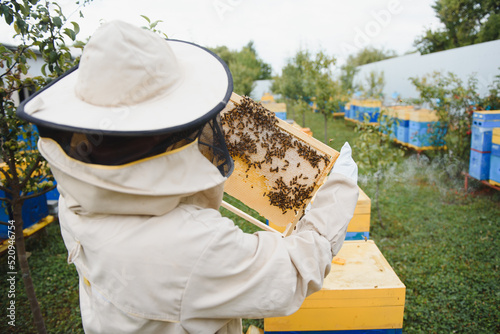 Beekeeping, beekeeper at work, bees in flight.