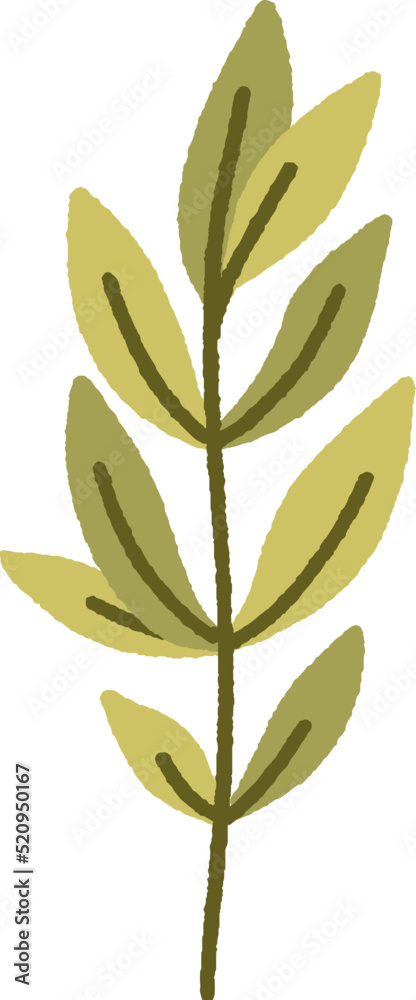 Botanical branch with leaves. Vector hand drawn illustration. Botanical branch with leaves. Vector hand drawn illustration.
