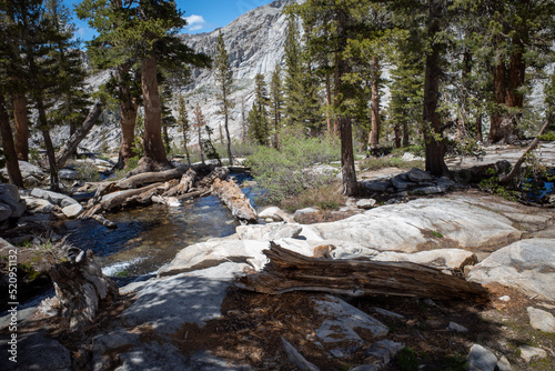 Idyllic stream in alpine zone at Sequoia National Park, California