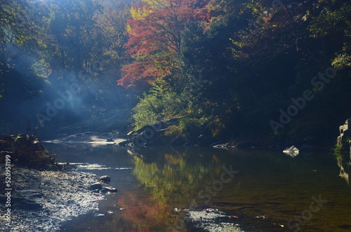 紅葉の嵐山渓谷・埼玉県