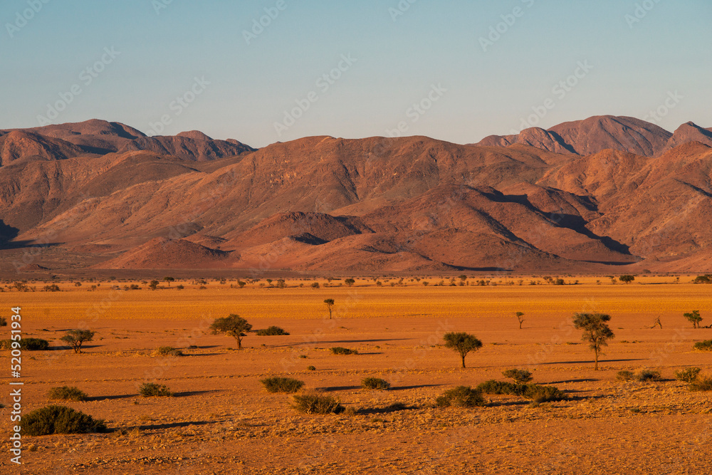 Namibian desert by evening